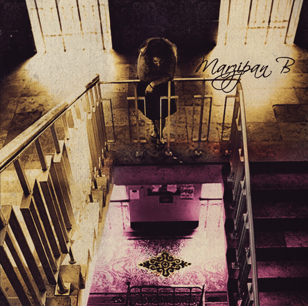 marzipan_b_2013_front
